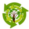 Tree Leaves Arrows Sustainability  - geralt / Pixabay